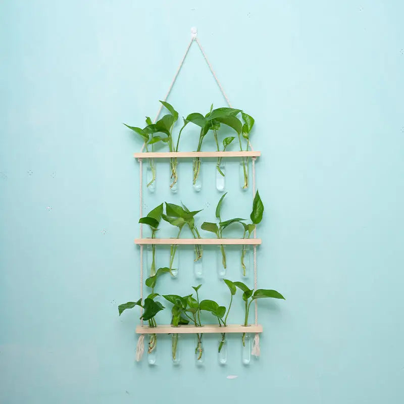 3-Layer Solid Wood Hydroponic Glass Vase Wall Decor